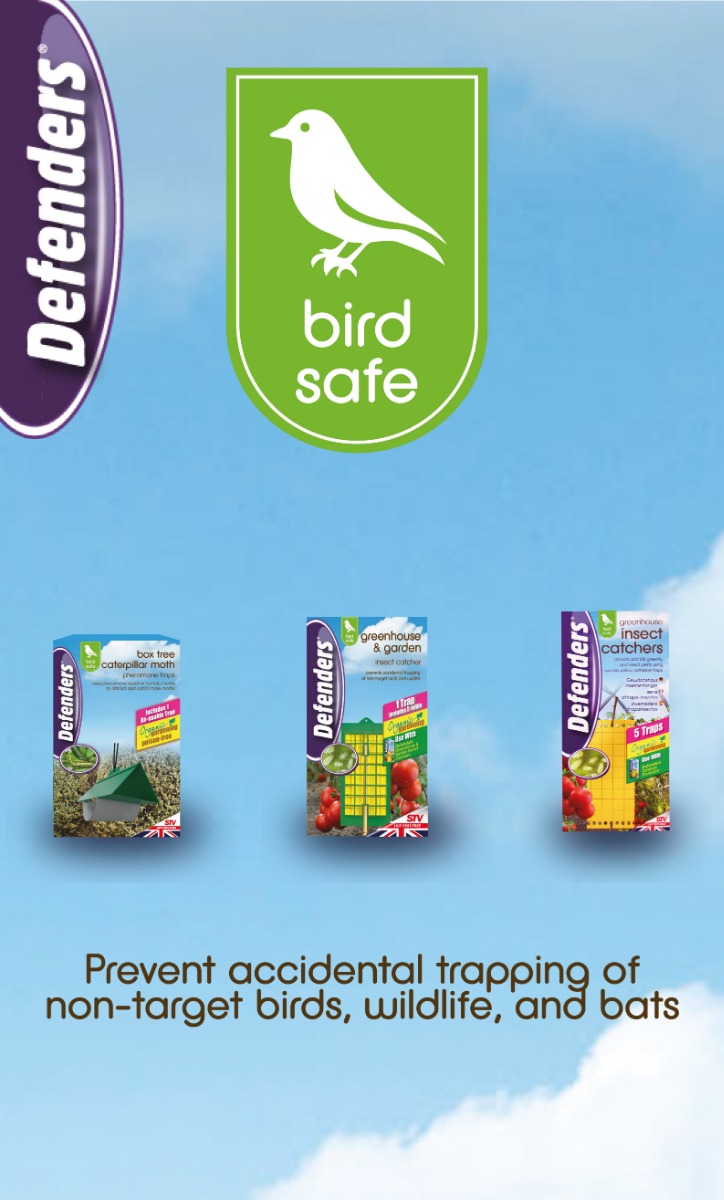 Bird_Safe_Mobile_Banner