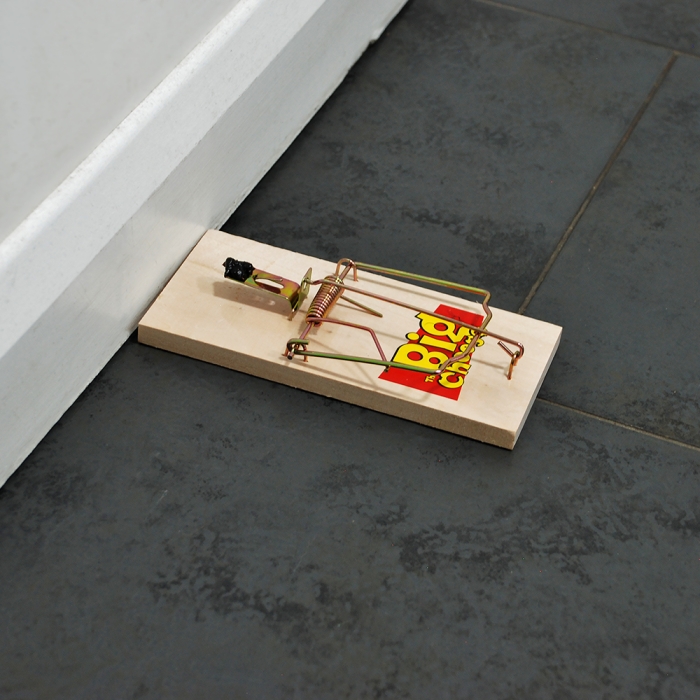 Wooden mouse trap from The Big Cheese