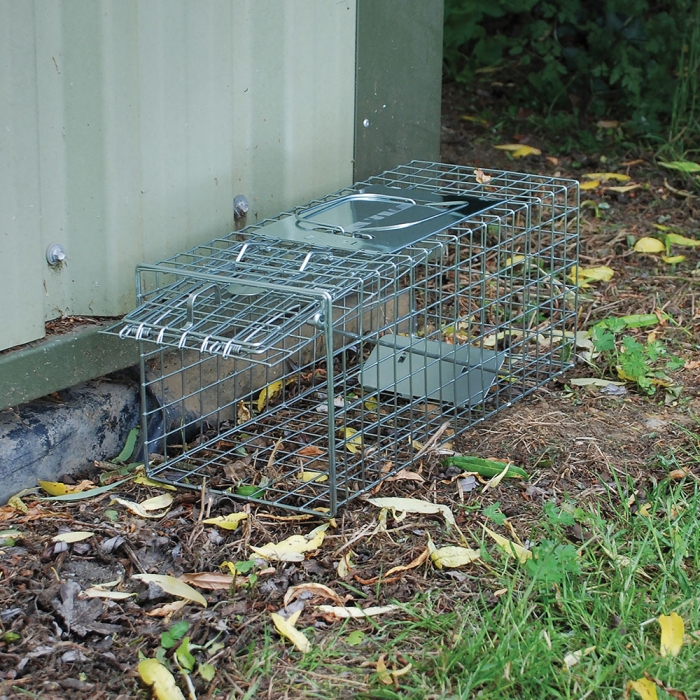 Live Animal Trap Medium Cage