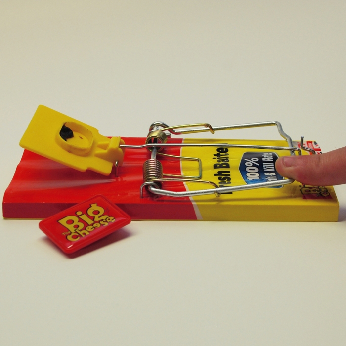 Frisch beköderte Rattenfalle