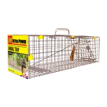 Live Animal Trap - Medium Cage testing