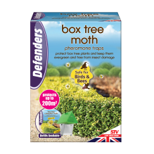 Box Tree Moth Trap