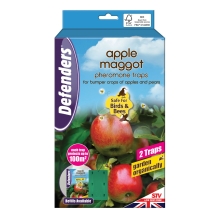 Apple Maggot Trap - Twinpack