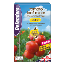 Tomato Leaf Miner Trap Refill - Twinpack