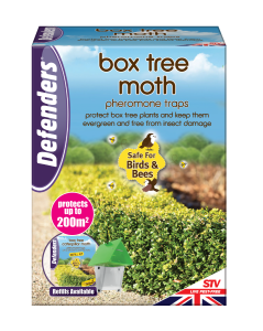 Box Tree Moth Trap