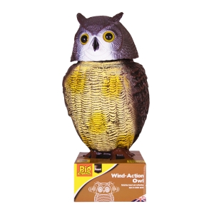 The Big Cheese Wind-Action Owl