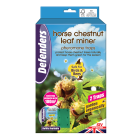 Horse Chestnut Leaf Miner Trap - Twinpack