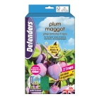 Plum Maggot Trap - Twinpack