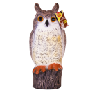 The Big Cheese Owl