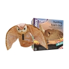 The Big Cheese Hunting Barn Owl