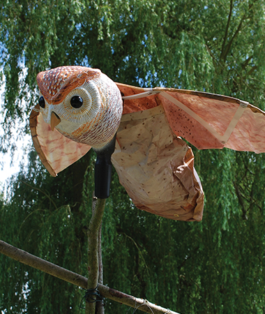 hunting barn owl