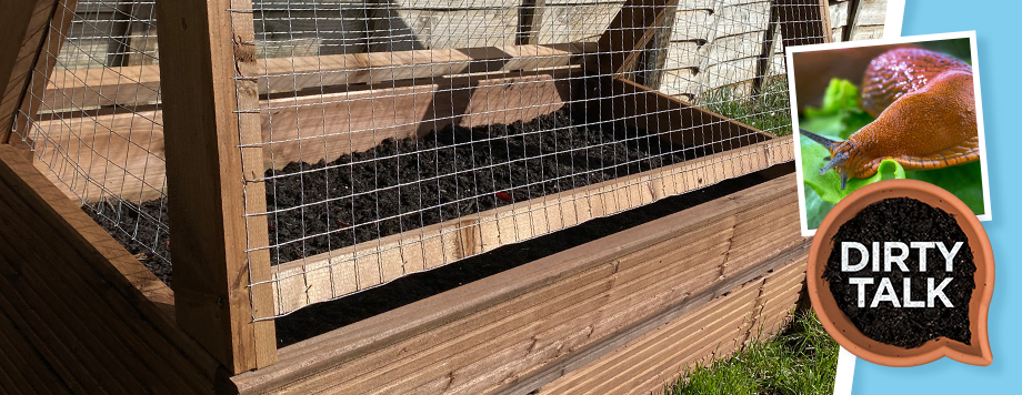 Veg Garden Pests – A Birds-eye View