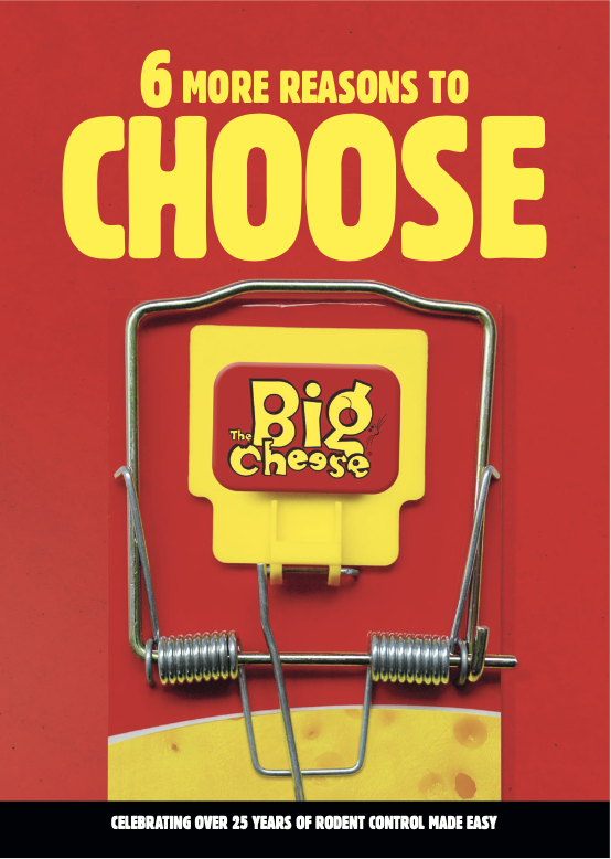 STV International The Big Cheese - 6 Reasons to Stock