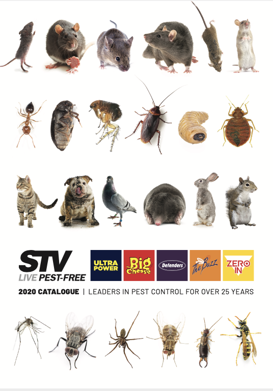 STV International 2020 Catalogue